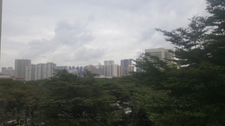 Blk 1 Telok Blangah Crescent (Bukit Merah), HDB 3 Rooms #161211342